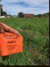 Site Analysis