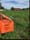 Site Analysis
